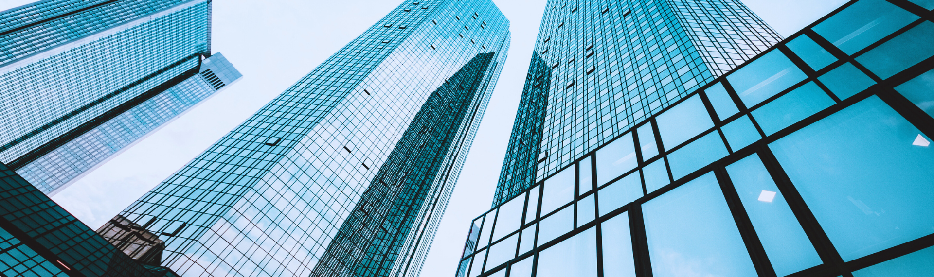 Business and Corporate Law